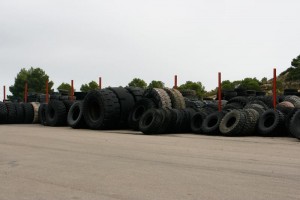 Thorough inspection of carcasses to check no damage