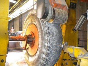 Thorough inspection of carcasses to check no damage